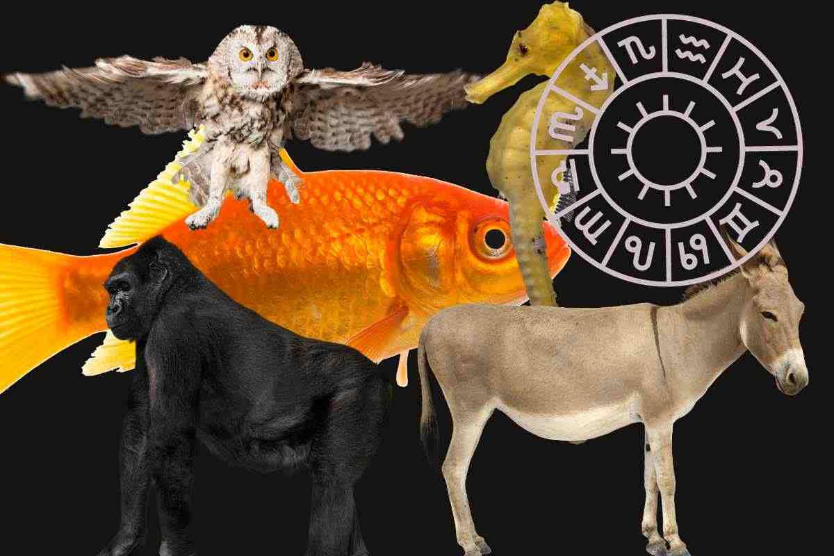 per ogni segno zodiacale è assegnato un animale