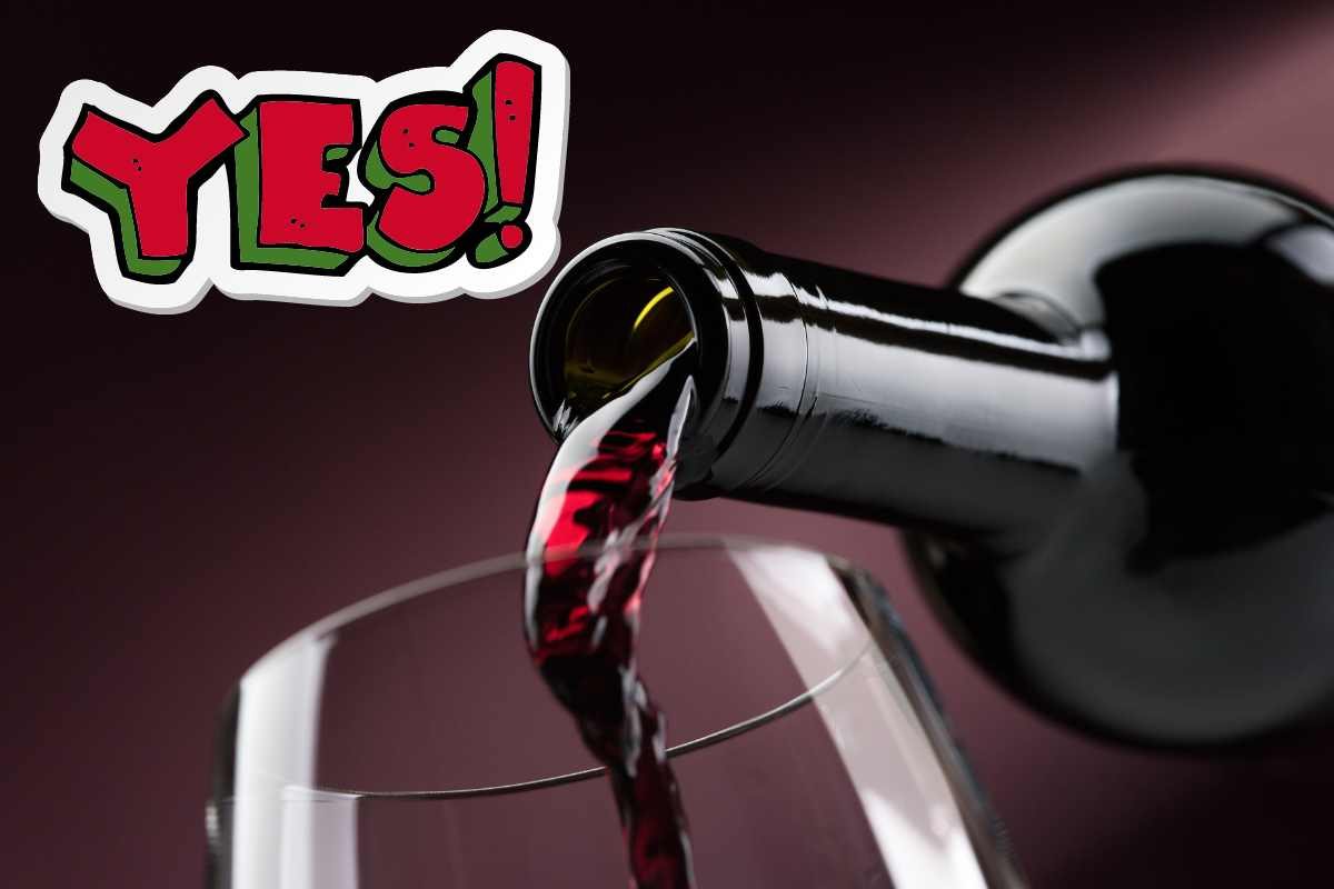 bere vino rosso fa bene secondo la scienza